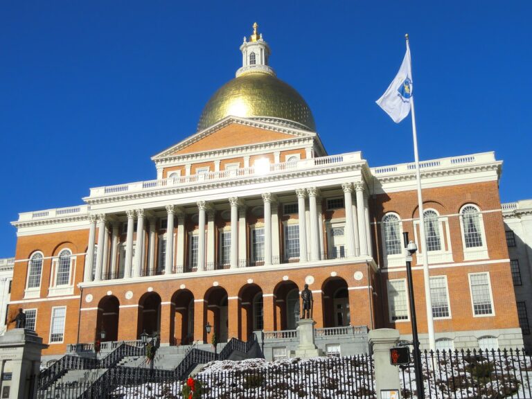 Taking a Stand: Testifying for Informed Consent in Massachusetts