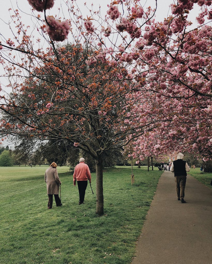 people-walking-near-trees-2253911-820x10
